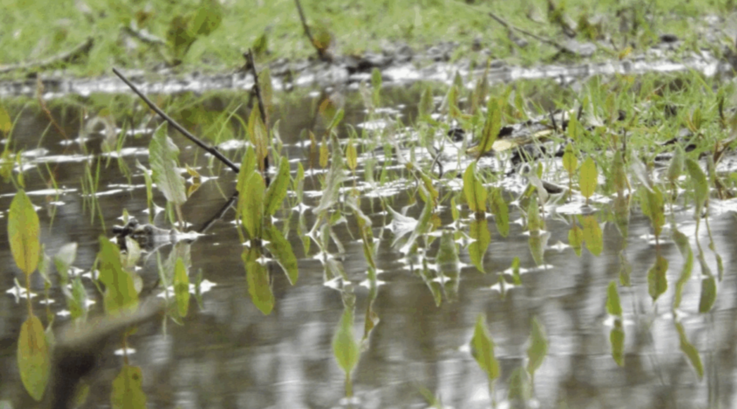 Assainissement non collectif : les erreurs à éviter  pour préserver votre terrain