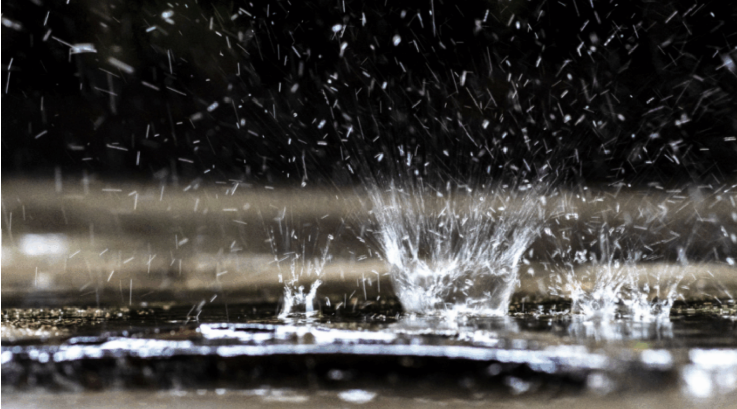 5 usages malins de l’eau de pluie