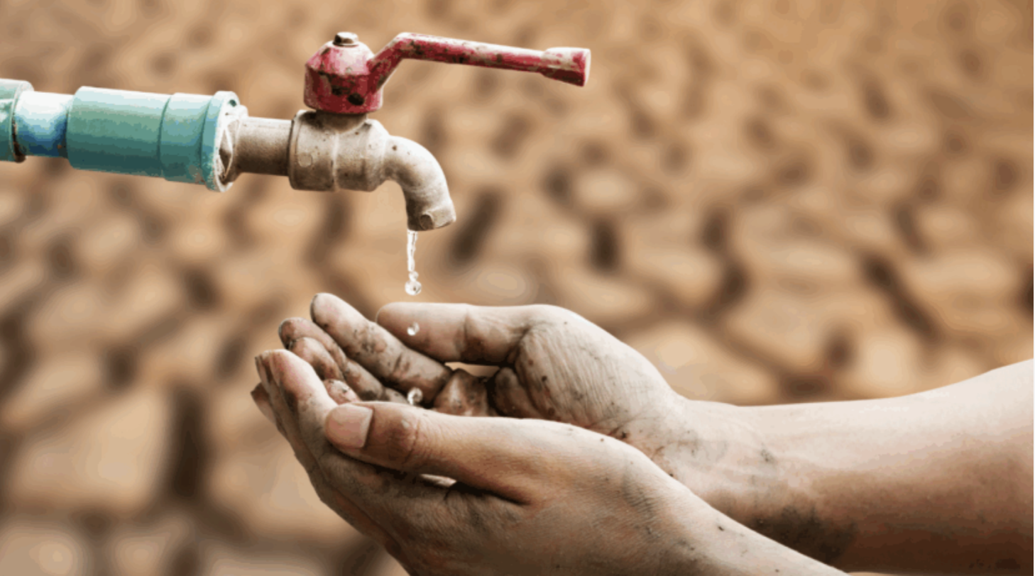 Récupérateur d’eau de pluie : Ne gaspillez plus ce que la nature vous offre