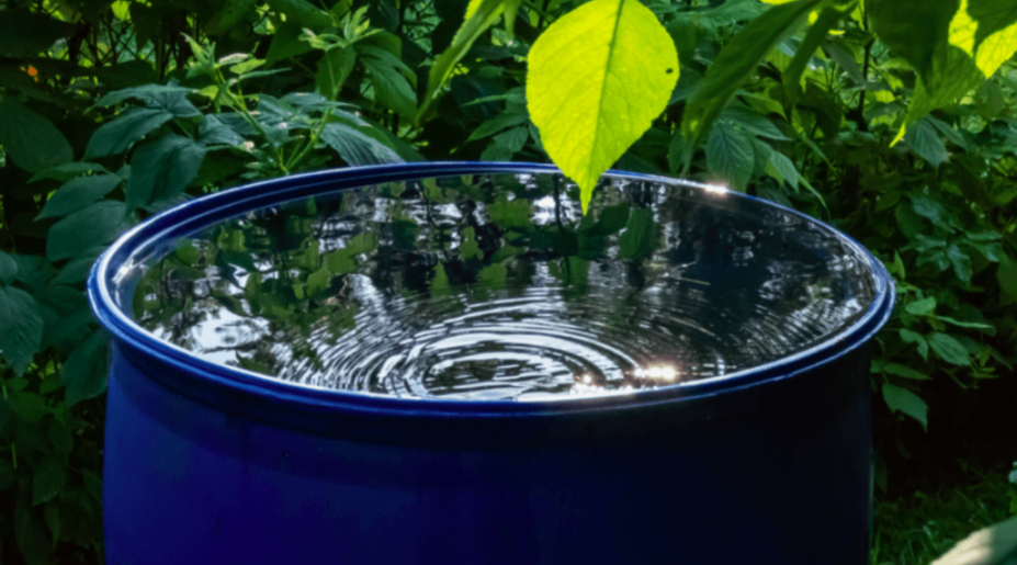 Recommander la récupération d’eau de pluie à ses clients